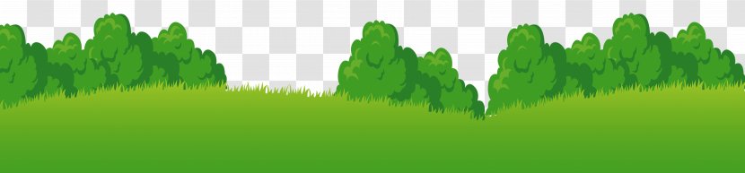 Grass Drawing Cartoon - Leaf - Green Tree Bottom Background Transparent PNG