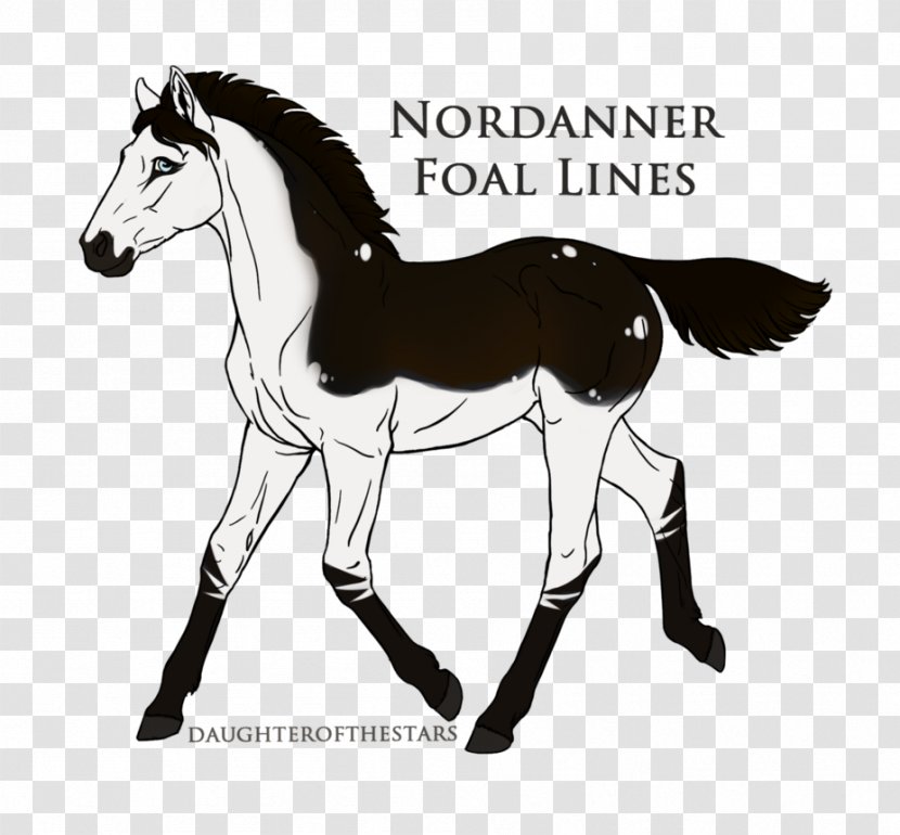 Mule Foal Stallion Colt Mustang - Horse Markings Transparent PNG