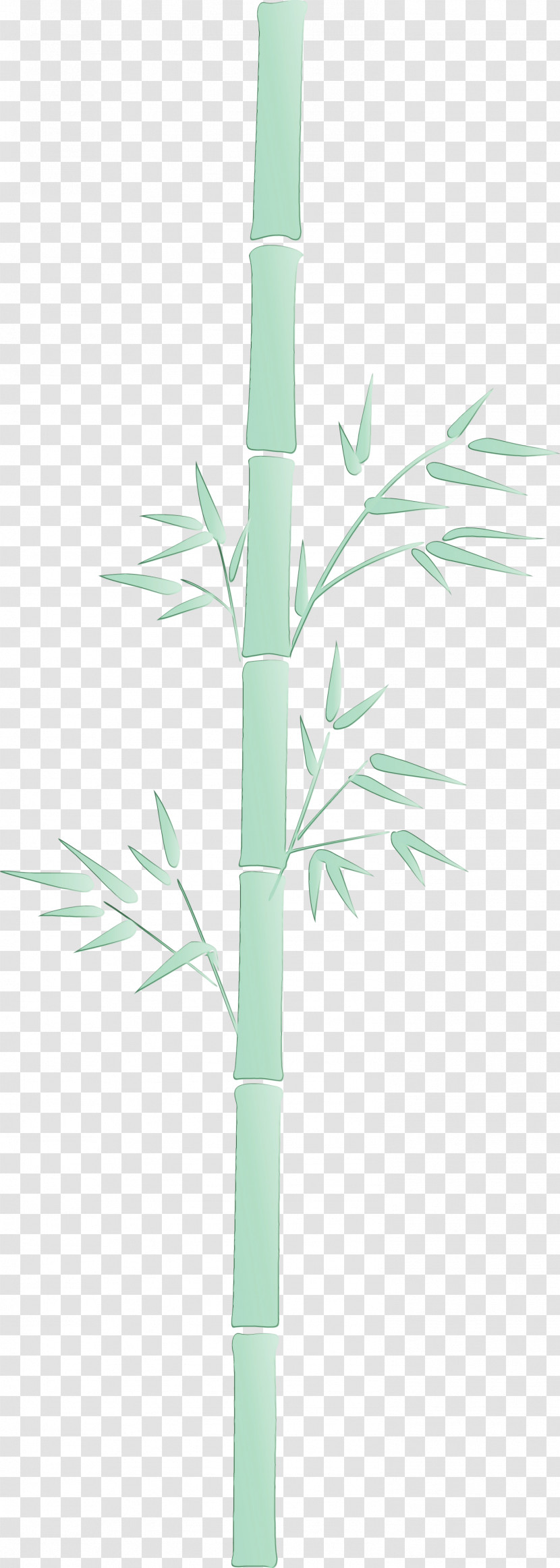 Leaf Plant Bamboo Plant Stem Branch Transparent PNG