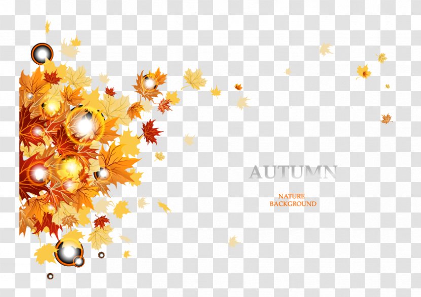 Royalty-free Autumn - Brand - Creative Plant Vector Material Transparent PNG