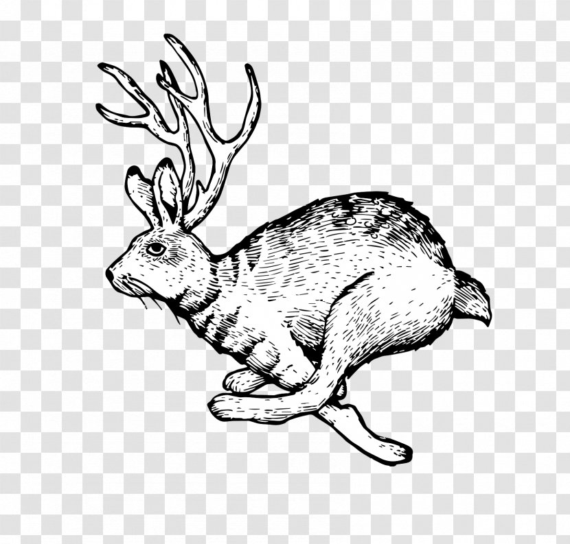 Domestic Rabbit Family Hare Reindeer Child - Line Art Transparent PNG