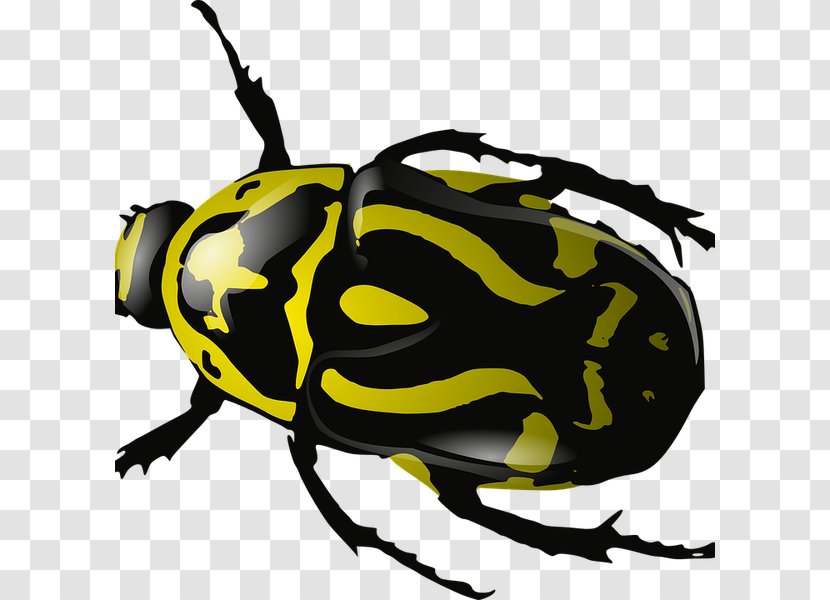 Desktop Wallpaper Beetle Clip Art - Artwork Transparent PNG
