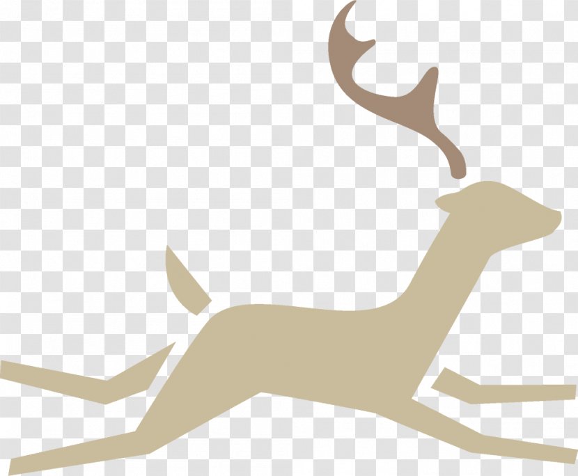 Reindeer Christmas - Fawn - Gazelle Transparent PNG