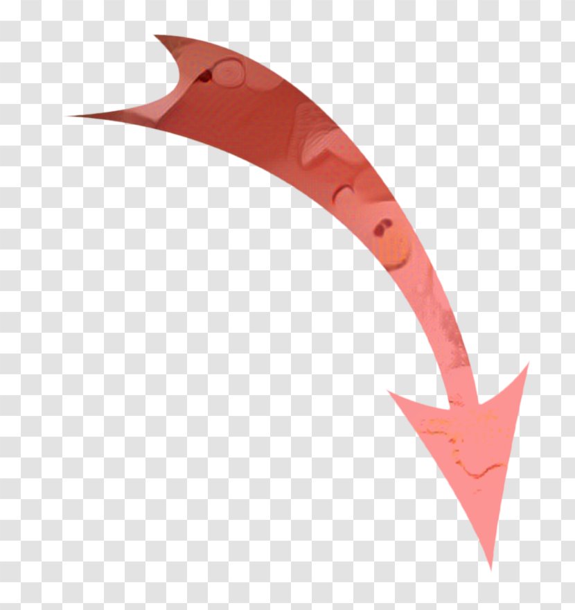 Pink Background - M - Fin Transparent PNG