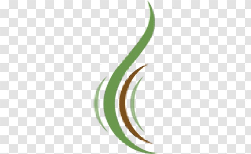 Leaf Crescent Logo Plant Stem Line Transparent PNG