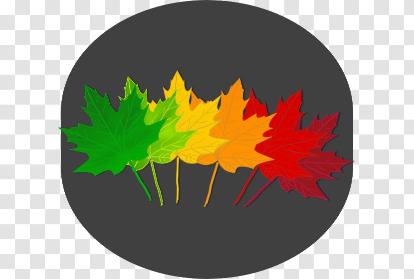 Maple Leaf - Autumn - Dishware Transparent PNG