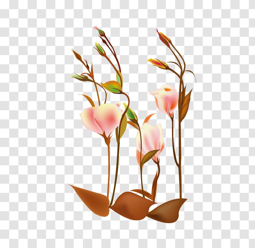 Floral Design Flower Cartoon Clip Art - Line - Vector Flowers Transparent PNG