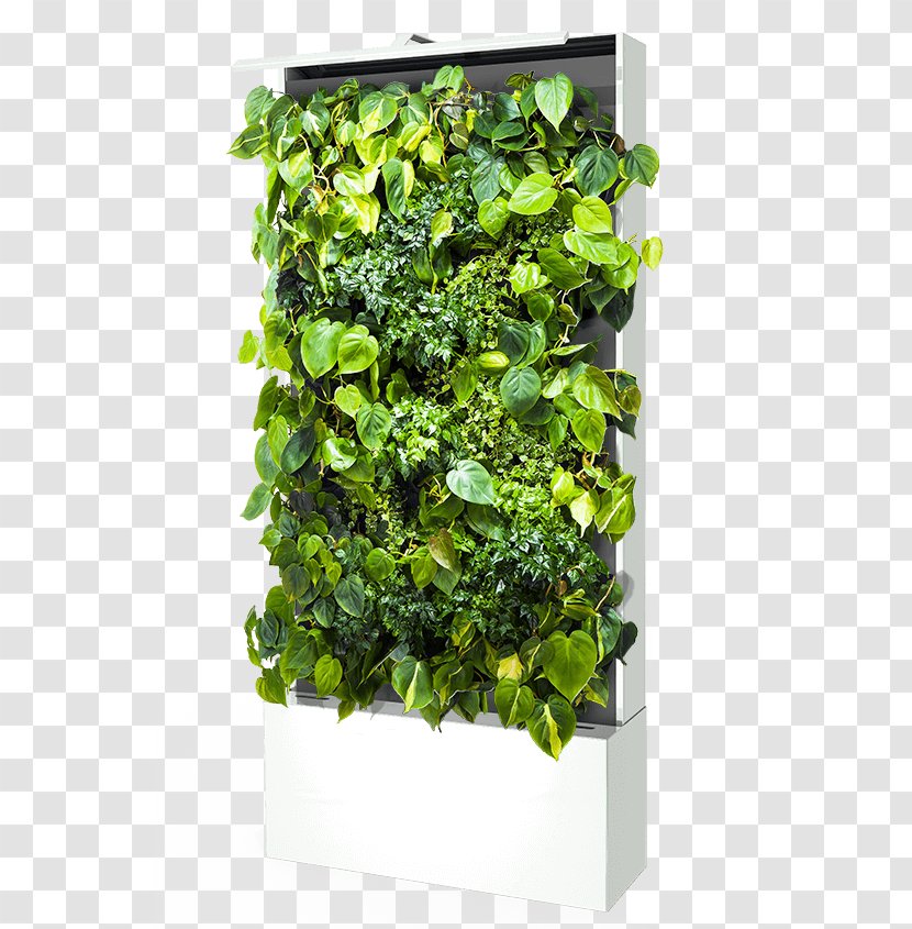 Green Wall Sustainable Design Parede Flowerpot - Inhabitat Transparent PNG