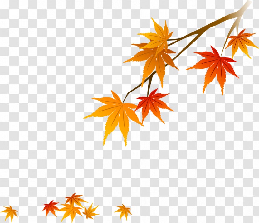 Red Maple Leaf - Branch - Autumn Leaves Transparent PNG