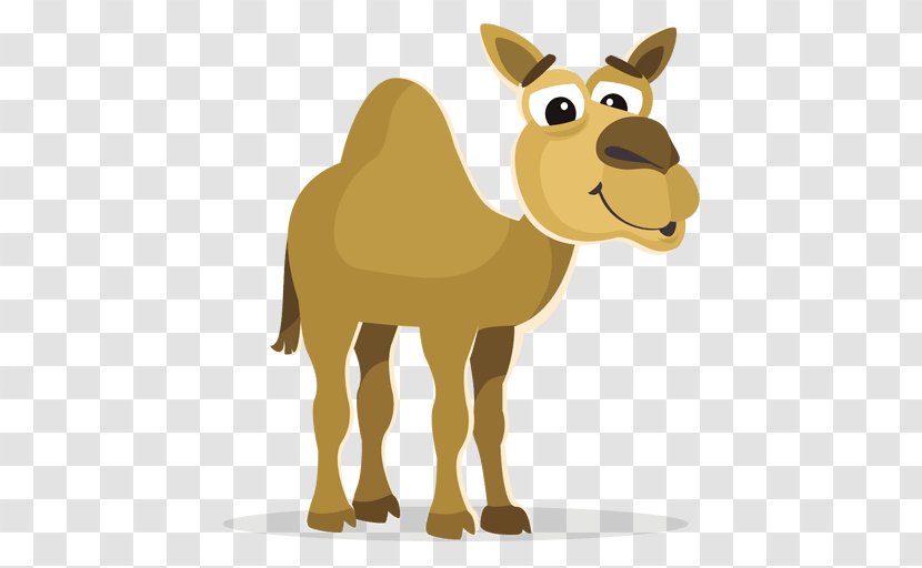 Bactrian Camel Dromedary Clip Art - Like Mammal - Cartoon Transparent PNG