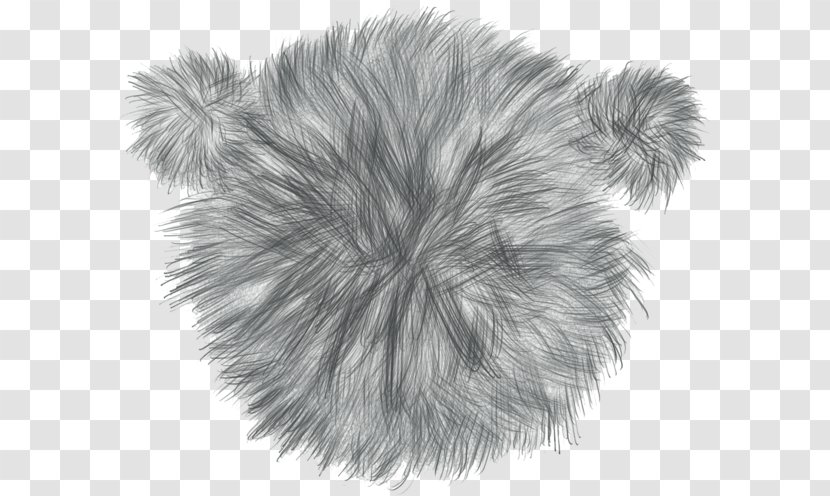 Whiskers Dog Fur Mammal Snout - Cheap School Backpacks For Girls Transparent PNG