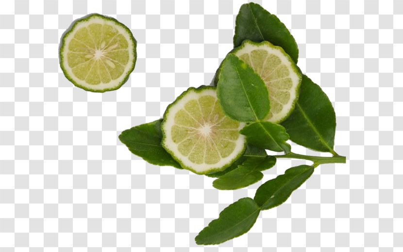 Key Lime Persian Lemon Kaffir - Fruit - Clipart Transparent PNG