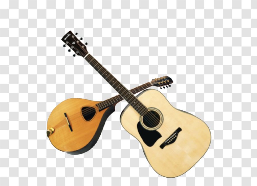 Acoustic Guitar Bass Acoustic-electric Tiple Cuatro - Tree - Irish Bouzouki Transparent PNG