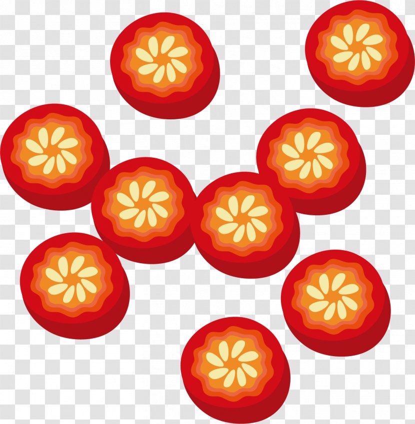 Capsicum Annuum Tomato Euclidean Vector - Pepper Cross Section Transparent PNG