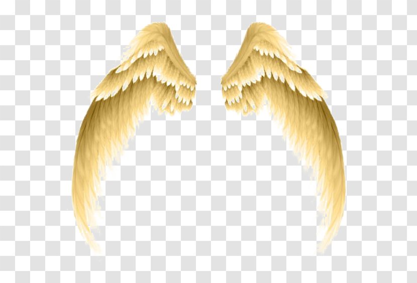 Photography Clip Art - Wing - Golden Wings Transparent PNG