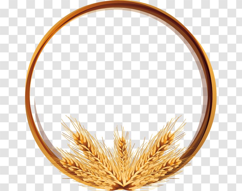 Wheat - Poster - Hand-painted Vector Transparent PNG
