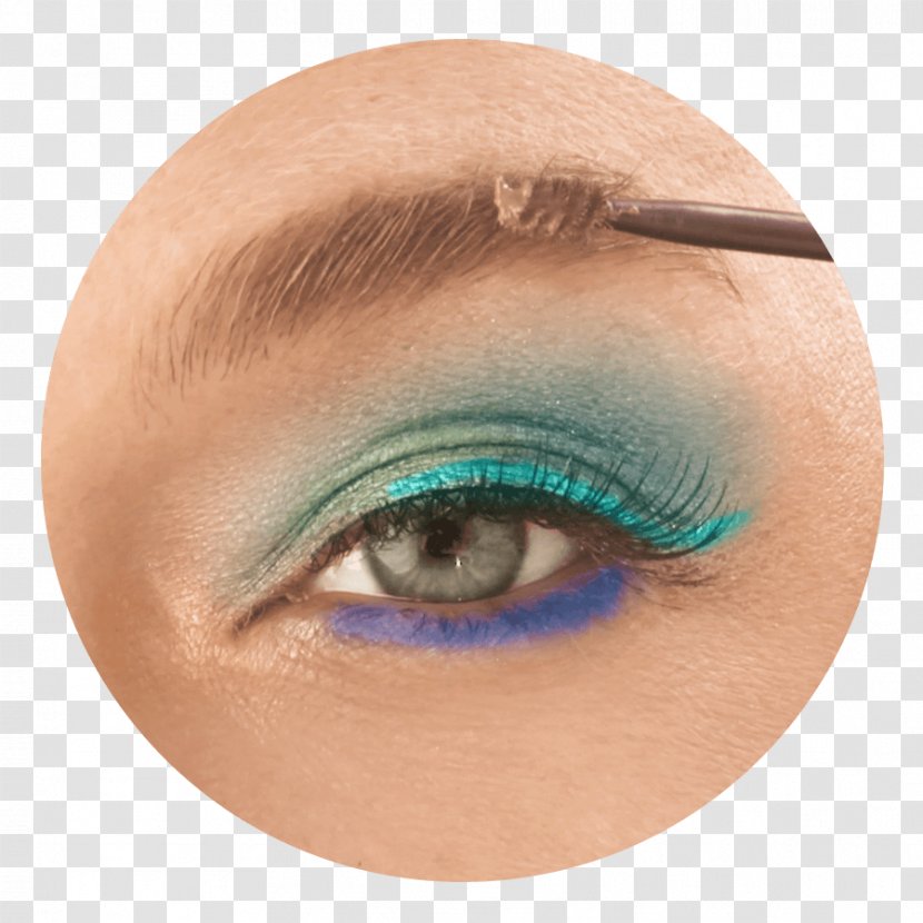 Eye Shadow Cosmetics Liner Eyebrow - Tree - Brow Transparent PNG