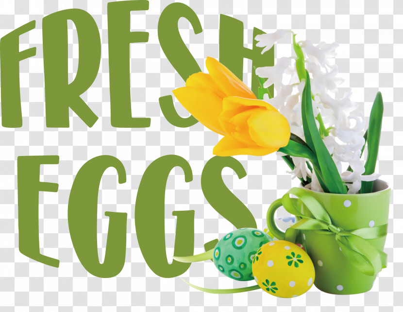 Fresh Eggs Transparent PNG