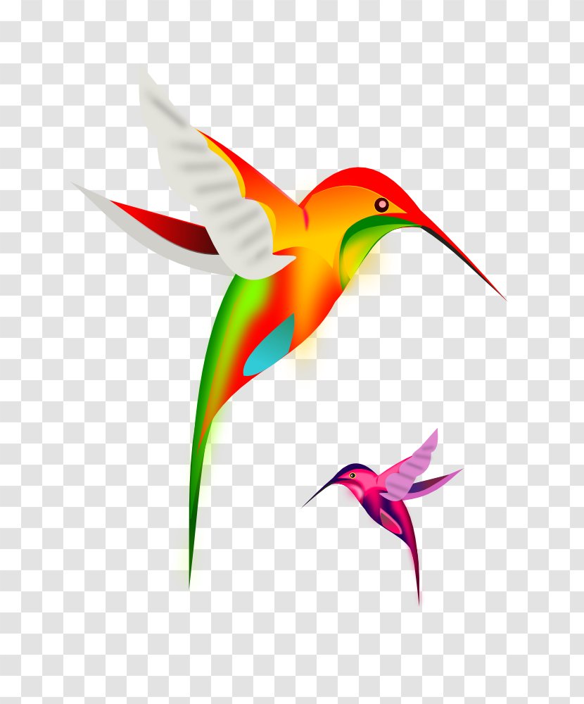 Hummingbird Clip Art - Royaltyfree - Bird Transparent PNG