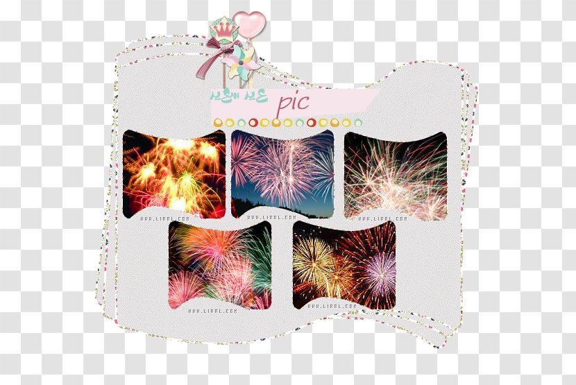 Firework Organism Transparent PNG