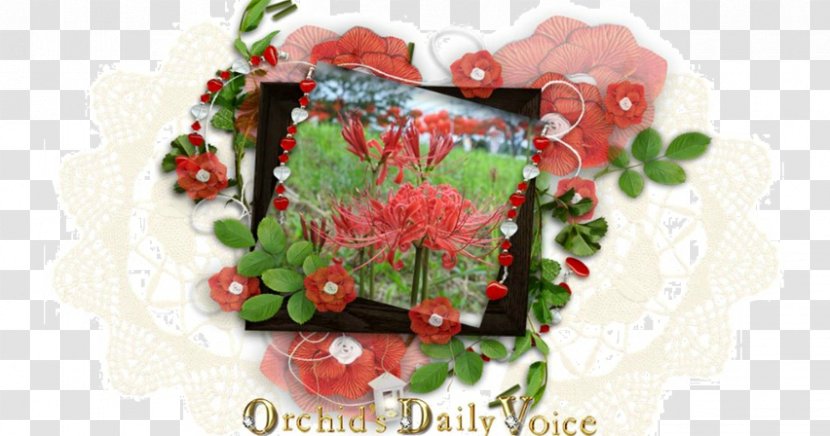 Garden Roses Floral Design Cut Flowers - Rose - Lantern Festival Transparent PNG