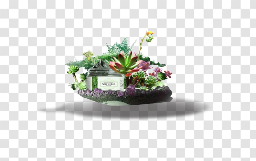 Houseplant Flowerpot Download - Grass - Plant Transparent PNG