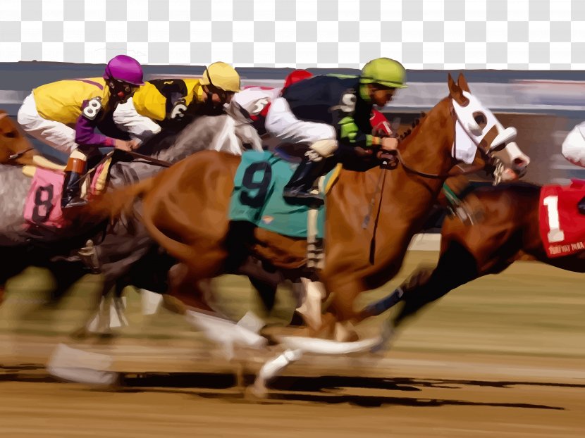 Horse Racing Sports Betting Race Track - Equestrian Sport - Vector Transparent PNG