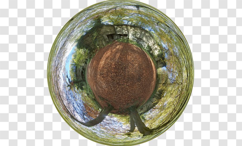 Tree Sphere - Artifact Transparent PNG