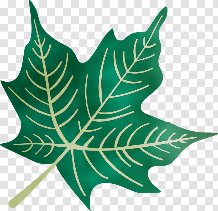 Plant Stem Leaf M-tree Tree Plants Transparent PNG