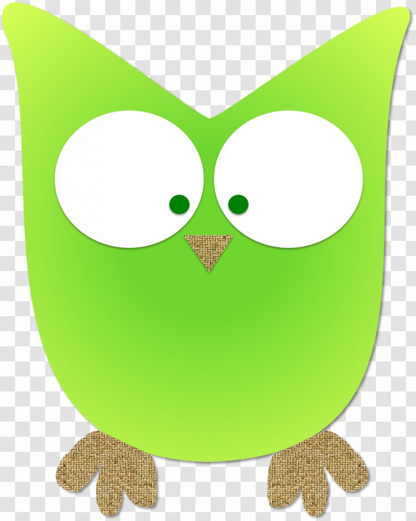 Owl Clip Art Product Beak - Green Transparent PNG