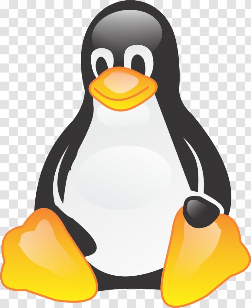 Penguin Tux Linux Operating Systems - Professional Institute Transparent PNG