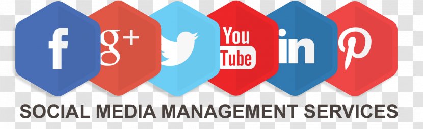 Social Media Marketing Digital Management Social-Media-Manager - Area - Promotion Transparent PNG