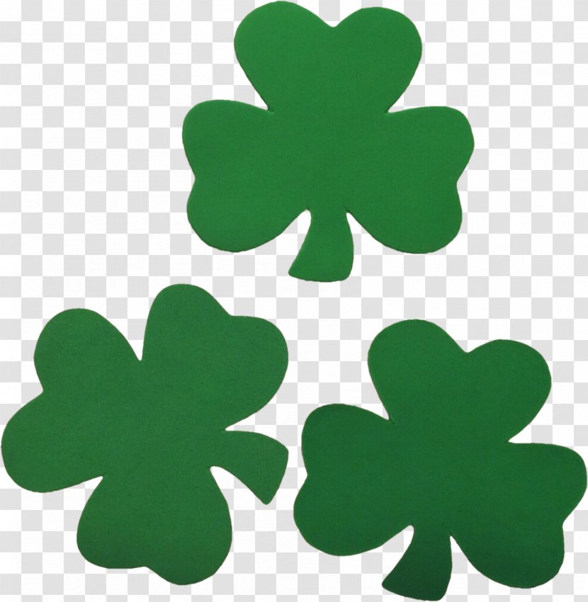 St. Patrick's Cathedral Ireland Saint Day Shamrock Irish People - Fourleaf Clover Transparent PNG
