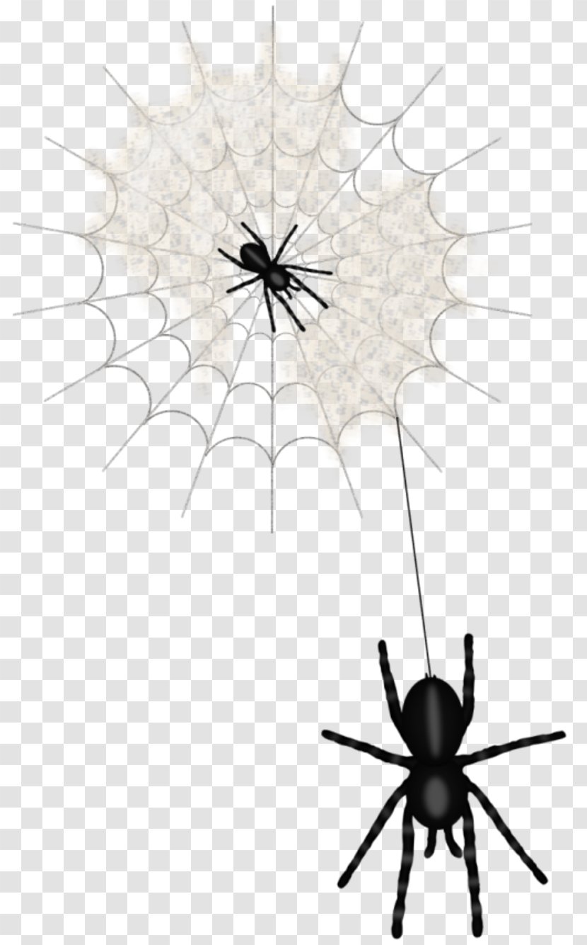 Widow Spiders Clip Art - Spider - Web Animation Transparent PNG
