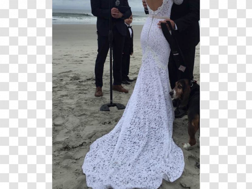 Wedding Dress Skirt Gown Transparent PNG