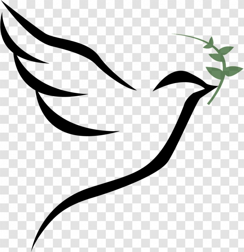 Columbidae Bird Doves As Symbols - Artwork - Holy Bible Transparent PNG