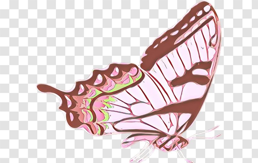 Monarch Butterfly Drawing - Pollinator - Furniture Transparent PNG