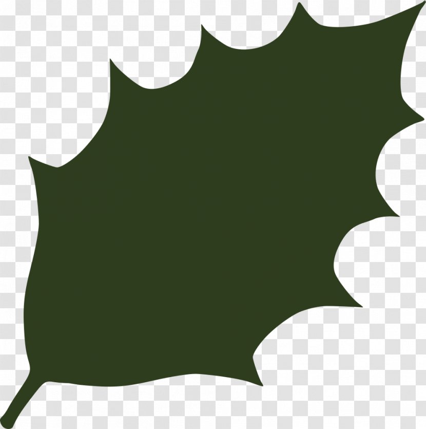 Leaf Holly Green Clip Art - Vegetable - Folha Transparent PNG