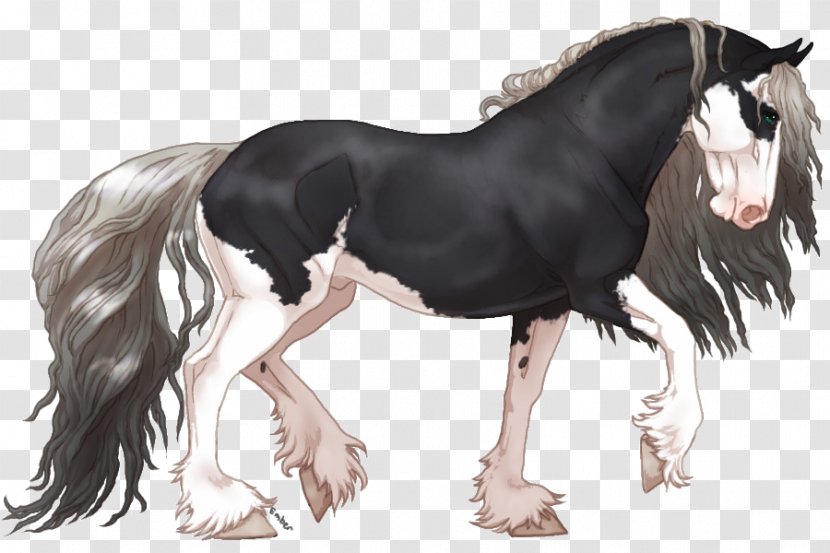 Mustang Stallion Foal Mare Colt - Horse Like Mammal Transparent PNG