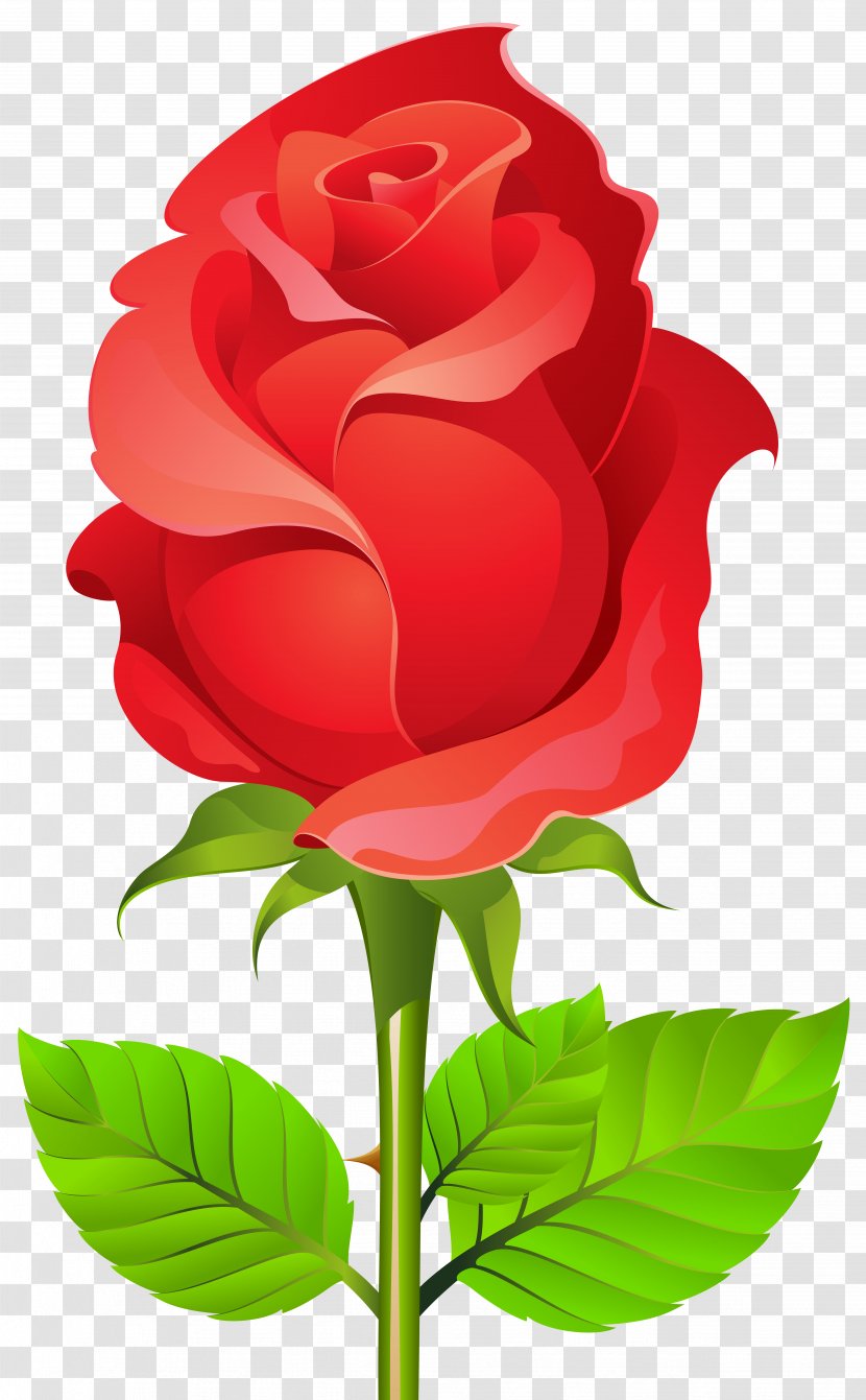 Mother's Day Picture Frame - Floral Design - Deco Rose PNG Clip Art Image Transparent PNG