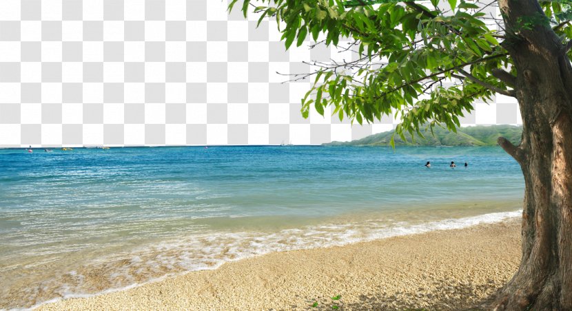 Shore Beach Bay - Seawater - Background Material Transparent PNG