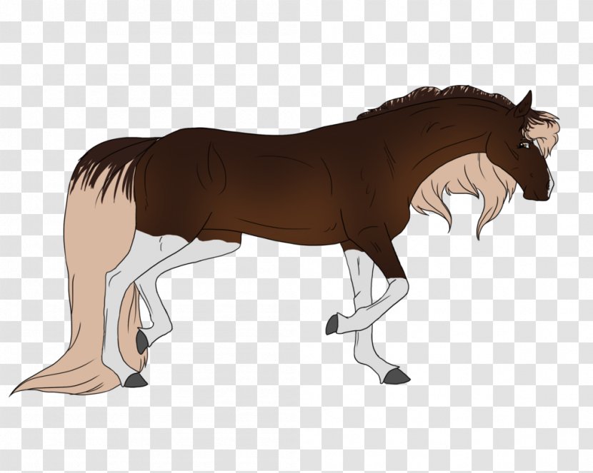Mane Foal Stallion Mare Mustang - Tail Transparent PNG