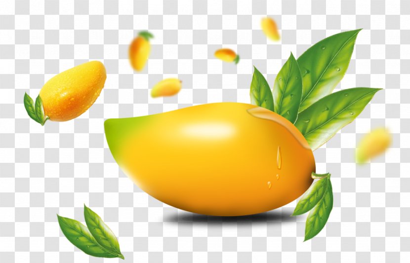 Lemon Mango - Auglis - Element Transparent PNG