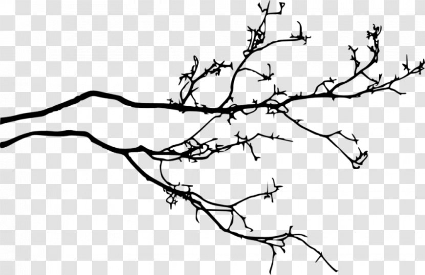 Twig Branch Tree Clip Art - Woody Plant Transparent PNG