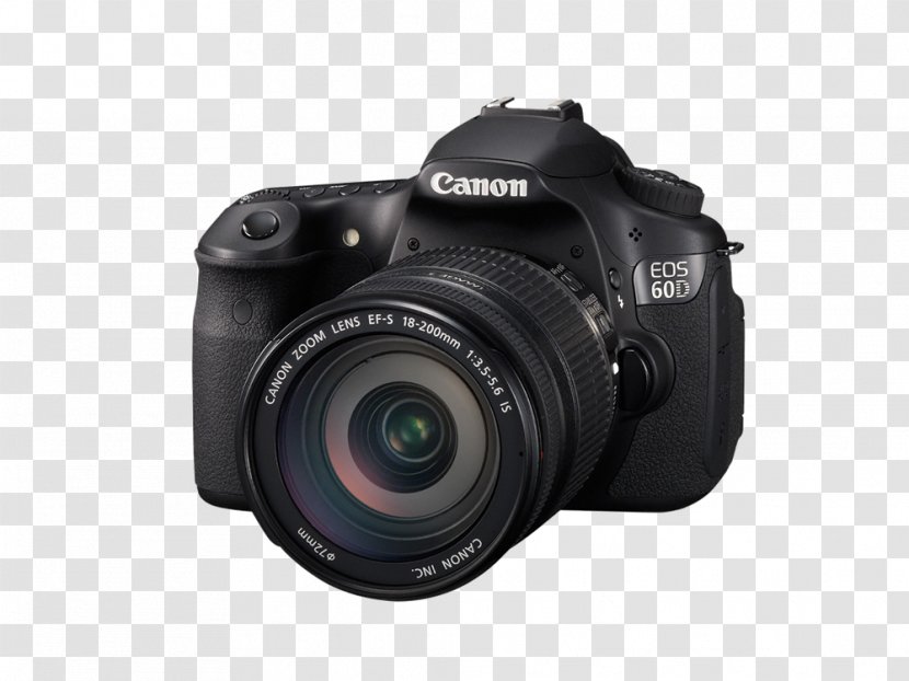 Canon EOS 60D 600D 700D EF-S 18–135mm Lens Digital SLR - Camera Accessory Transparent PNG