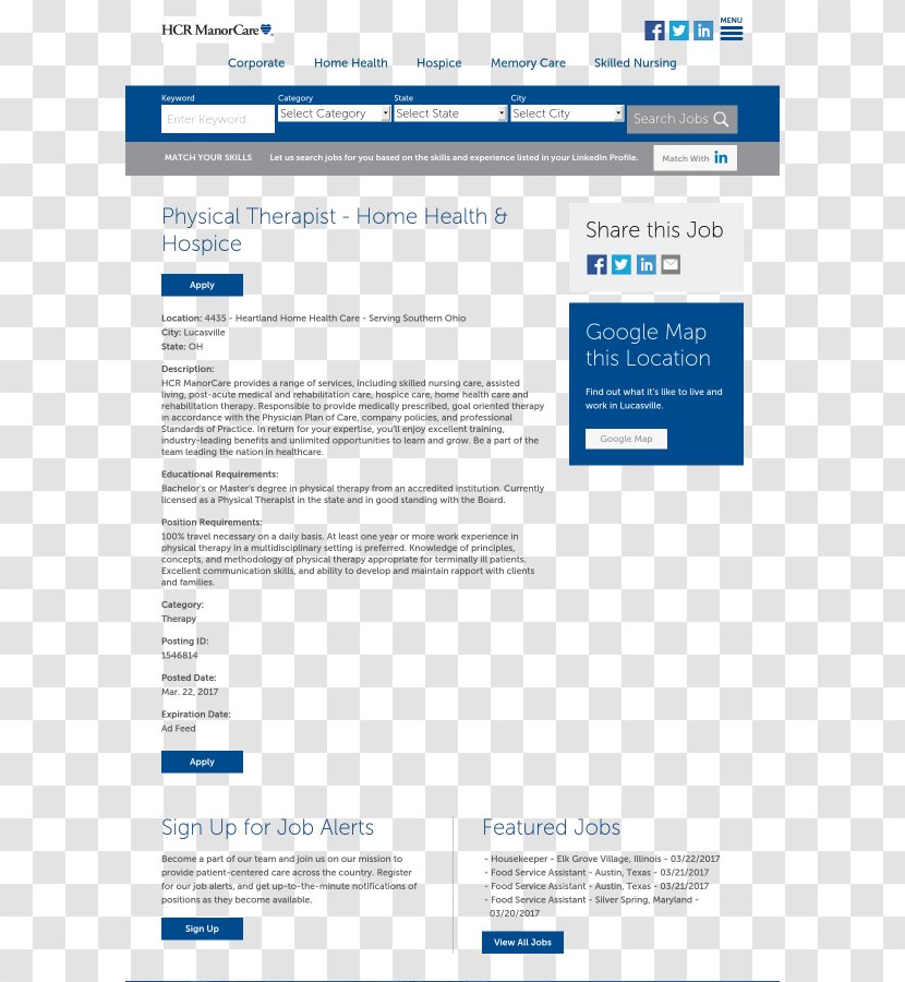 Web Page Online Advertising - Software - Line Transparent PNG