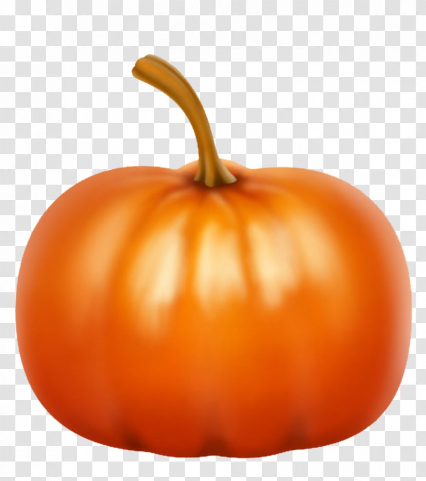 Pumpkin Calabaza Cucurbita Pepo - Image Transparent PNG