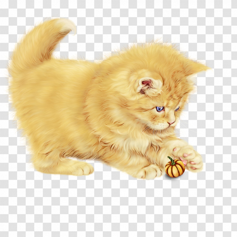 Cat Small To Medium-sized Cats Persian Yellow Whiskers Transparent PNG