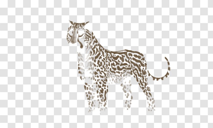 Cheetah Giraffe Leopard Felidae Lion Transparent PNG