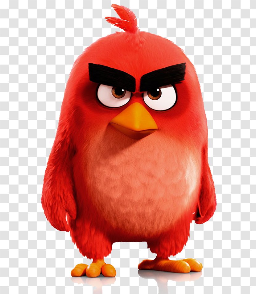 Angry Birds Stella YouTube Film - Bird Of Prey Transparent PNG